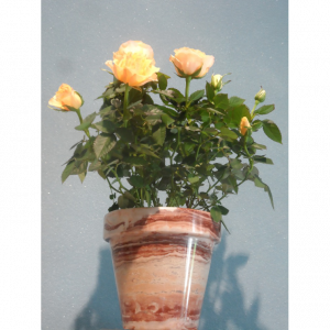Planter Arabescato Orobico