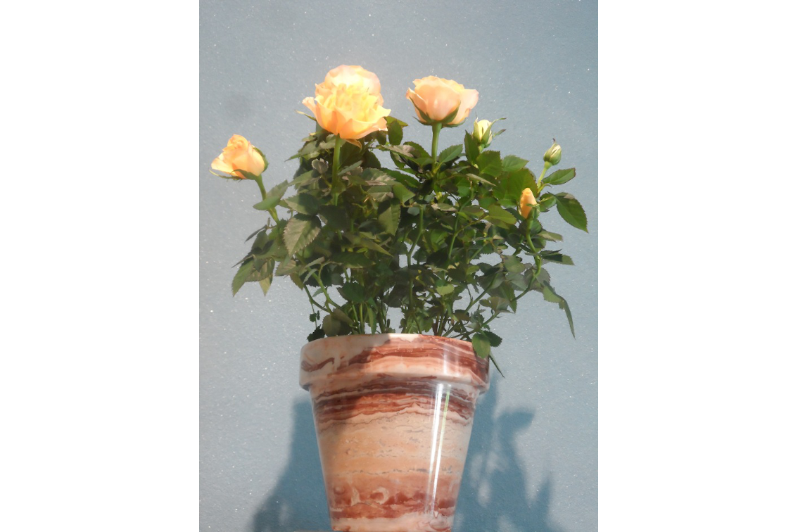 Planter Arabescato Orobico