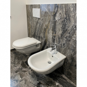 bathroom coating_Arabescato Orobico Marble